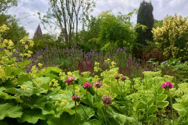 vaste 6 = skyline liggend met kerk